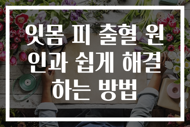잇몸 피 출혈 원인과 쉽게 해결하는 방법