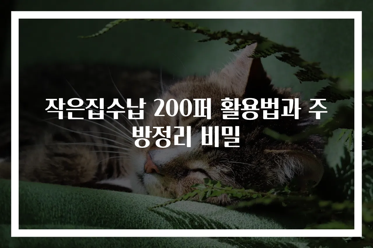 작은집수납 200퍼 활용법과 주방정리 비밀