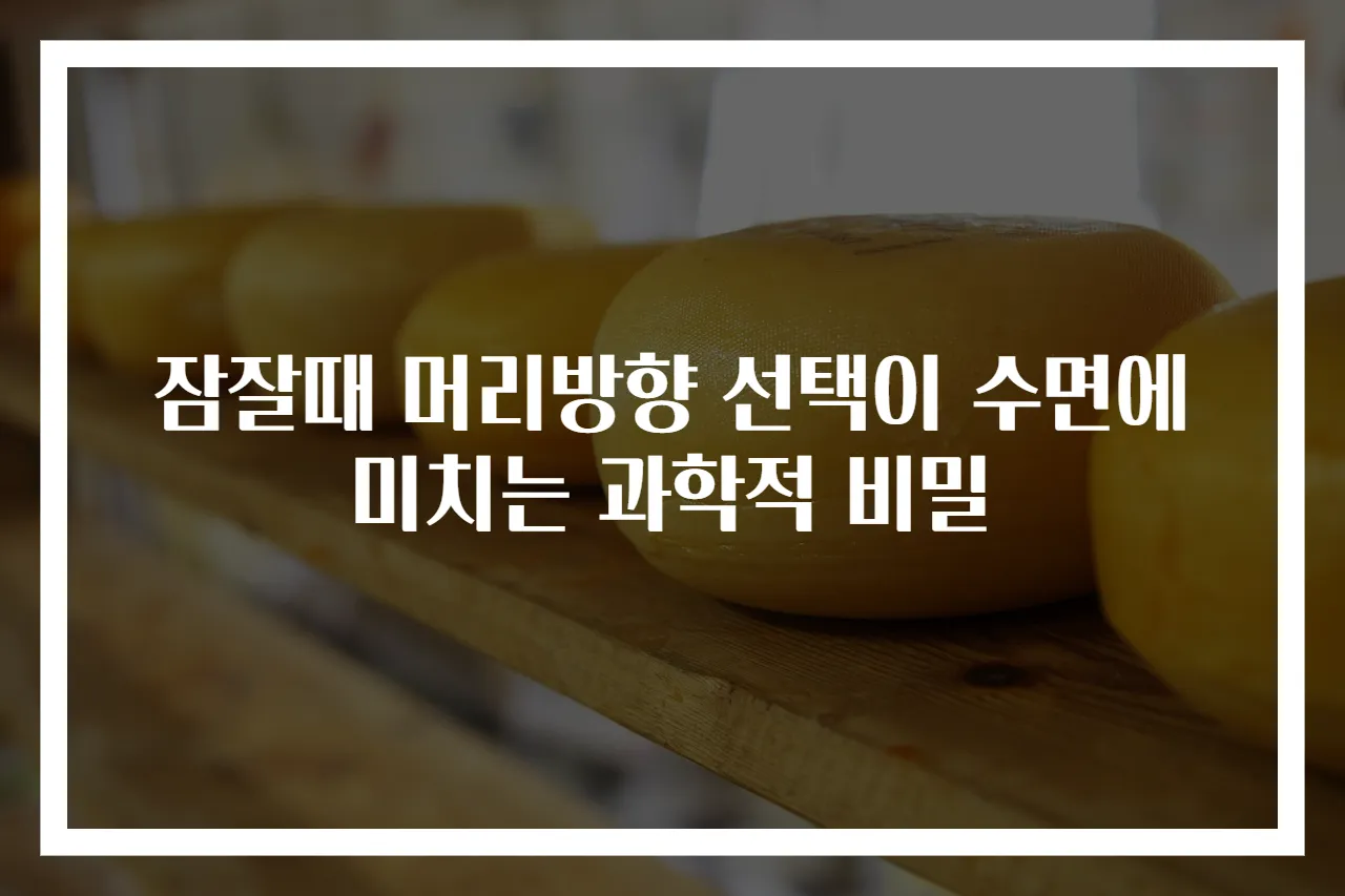 잠잘때 머리방향 선택이 수면에 미치는 과학적 비밀
