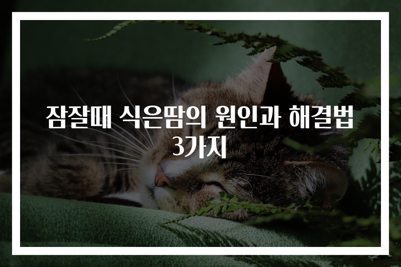 잠잘때 식은땀의 원인과 해결법 3가지