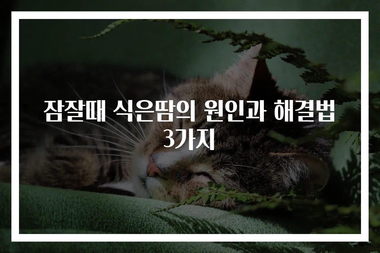 잠잘때 식은땀의 원인과 해결법 3가지