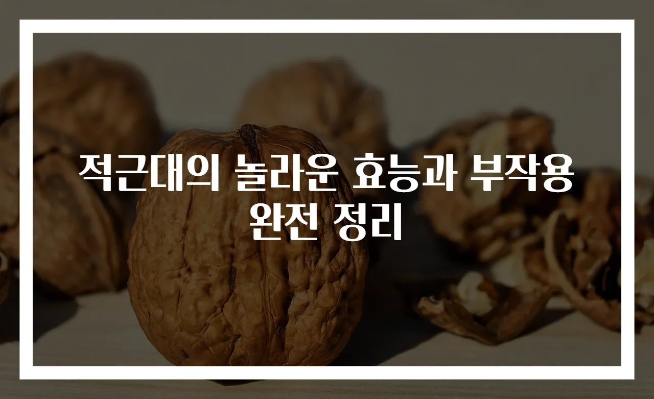 적근대의 놀라운 효능과 부작용 완전 정리