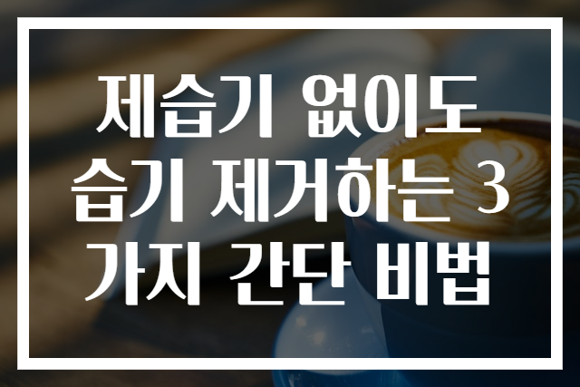 제습기 없이도 습기 제거하는 3가지 간단 비법
