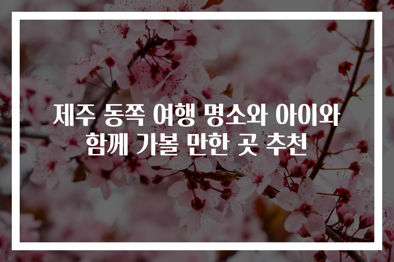 제주 동쪽 여행 명소와 아이와 함께 가볼 만한 곳 추천