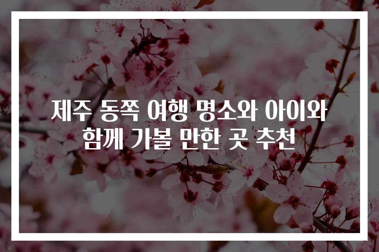 제주 동쪽 여행 명소와 아이와 함께 가볼 만한 곳 추천