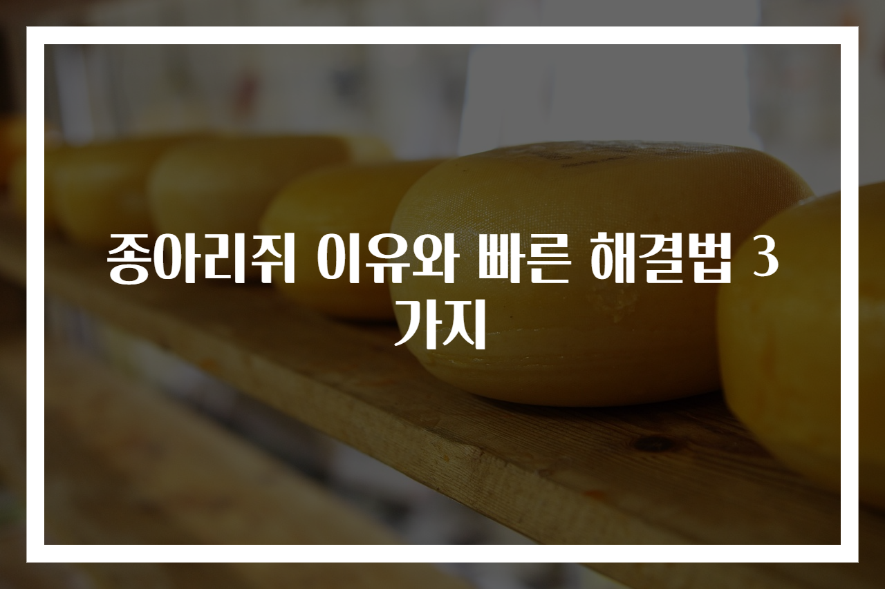 종아리쥐 이유와 빠른 해결법 3가지
