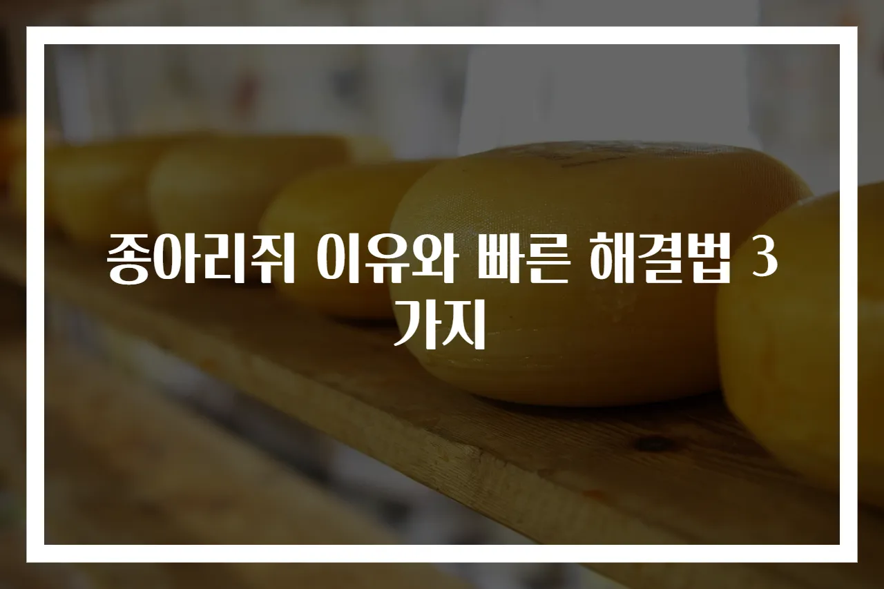 종아리쥐 이유와 빠른 해결법 3가지