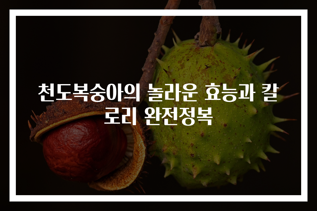 천도복숭아의 놀라운 효능과 칼로리 완전정복