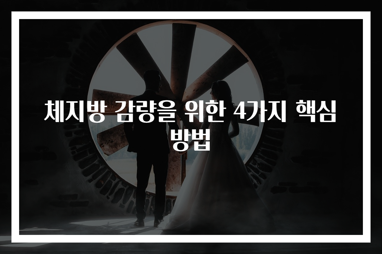 체지방 감량을 위한 4가지 핵심 방법