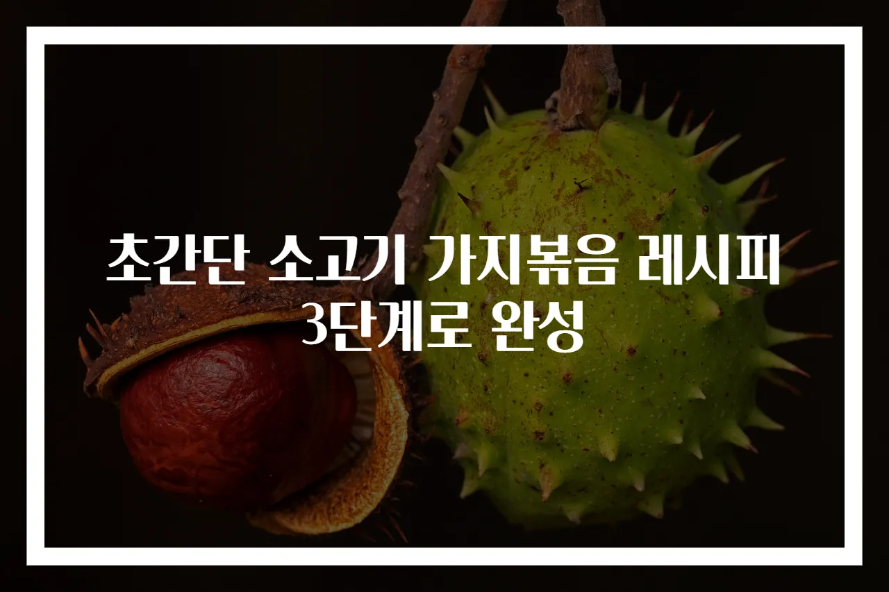 초간단 소고기 가지볶음 레시피 3단계로 완성