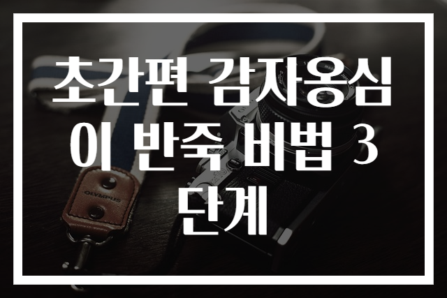초간편 감자옹심이 반죽 비법 3단계