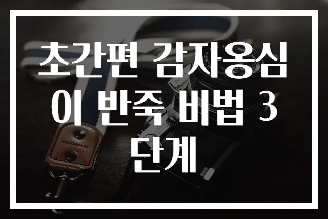초간편 감자옹심이 반죽 비법 3단계