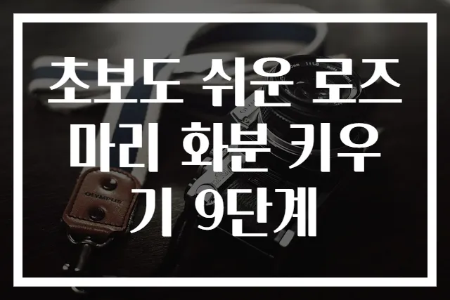 초보도 쉬운 로즈마리 화분 키우기 9단계