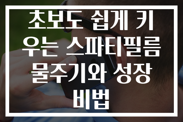 초보도 쉽게 키우는 스파티필름 물주기와 성장 비법