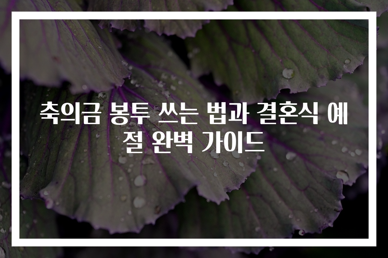축의금 봉투 쓰는 법과 결혼식 예절 완벽 가이드