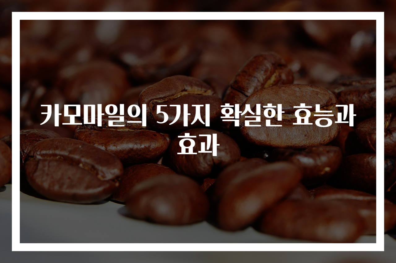 카모마일의 5가지 확실한 효능과 효과