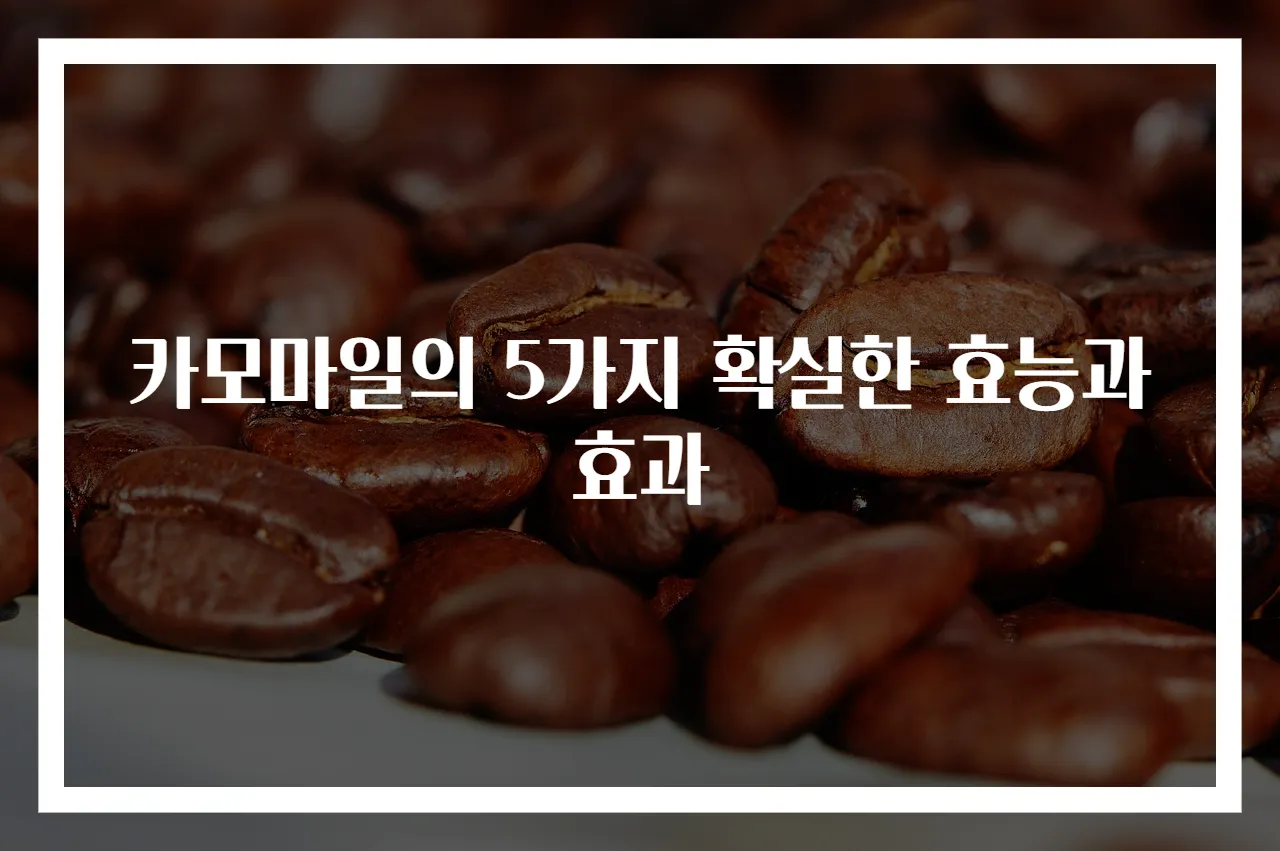 카모마일의 5가지 확실한 효능과 효과