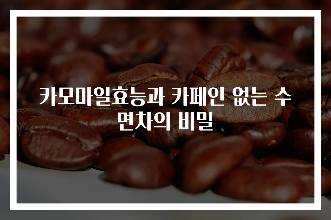 카모마일효능과 카페인 없는 수면차의 비밀