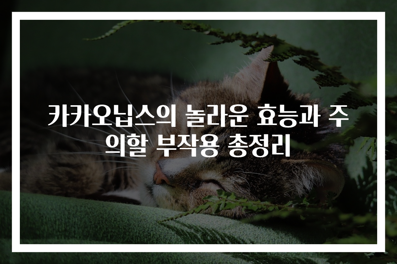 카카오닙스의 놀라운 효능과 주의할 부작용 총정리