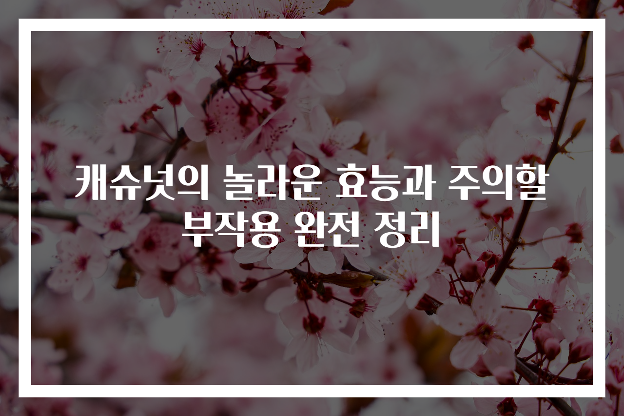 캐슈넛의 놀라운 효능과 주의할 부작용 완전 정리