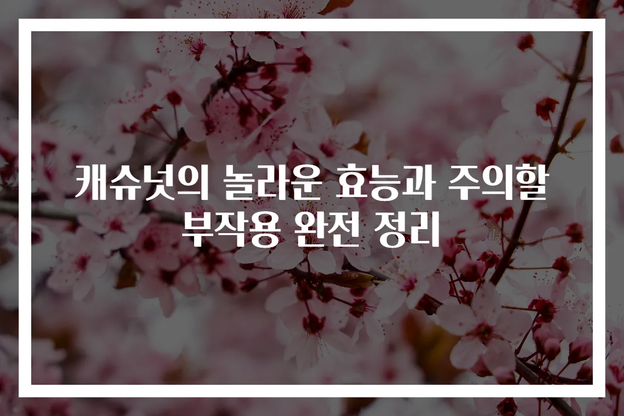 캐슈넛의 놀라운 효능과 주의할 부작용 완전 정리