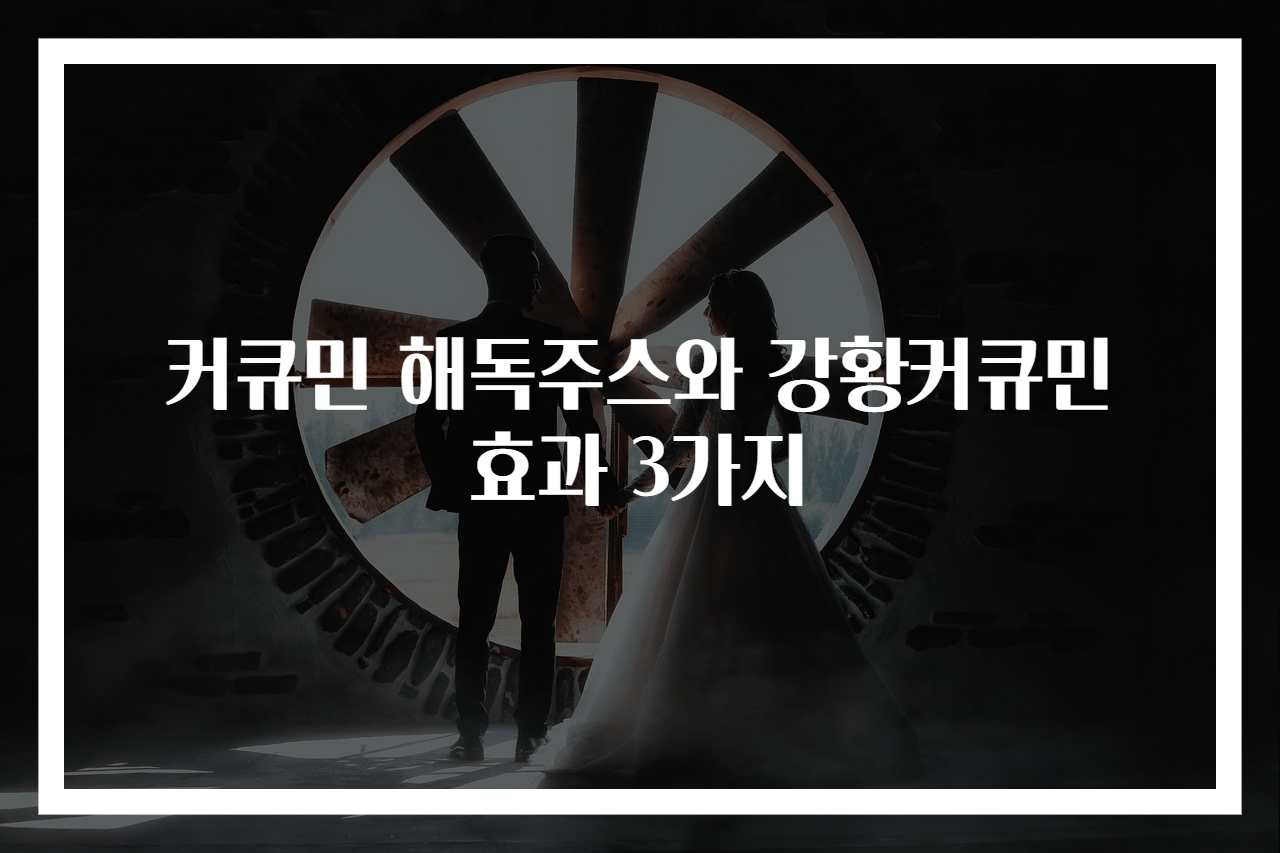 커큐민 해독주스와 강황커큐민 효과 3가지