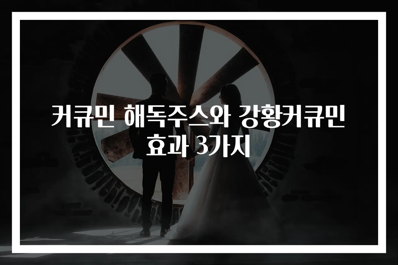 커큐민 해독주스와 강황커큐민 효과 3가지