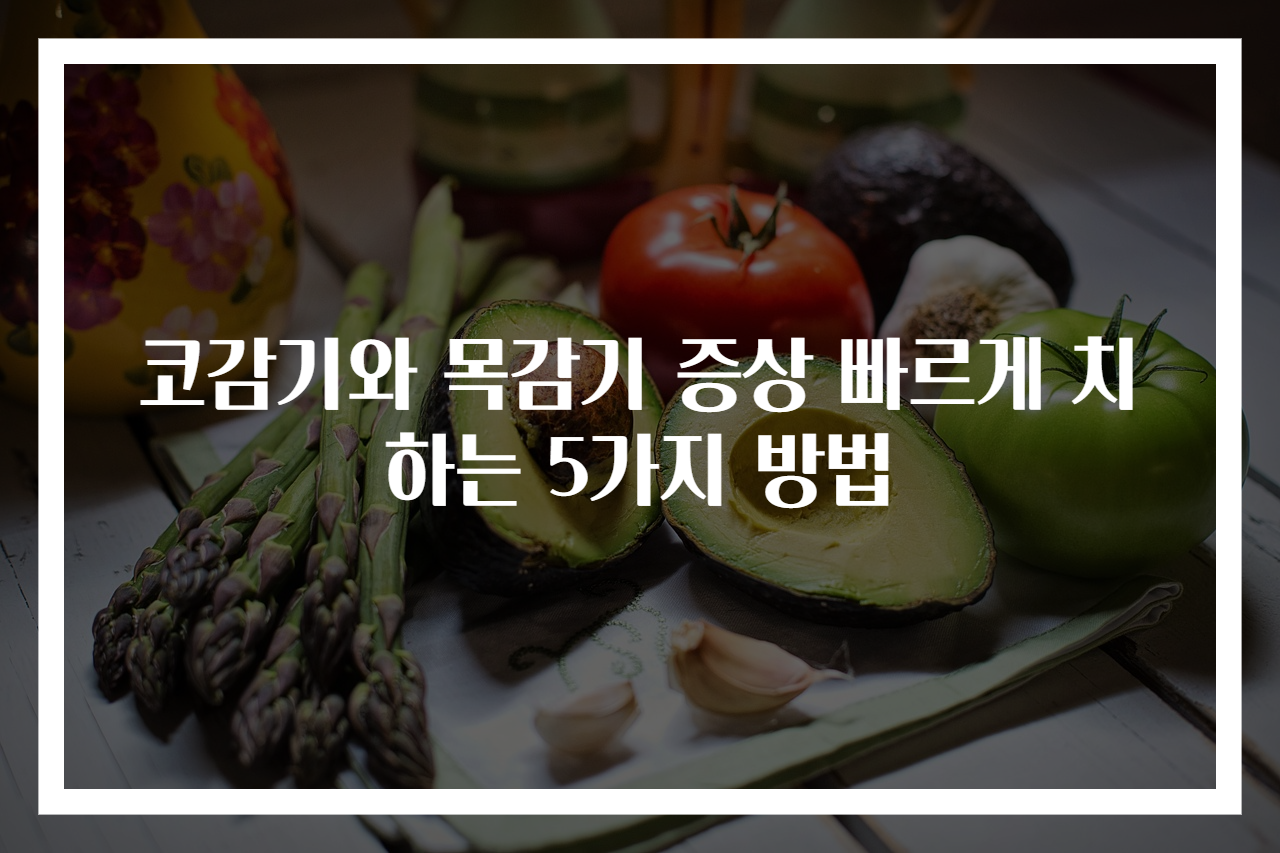 코감기와 목감기 증상 빠르게 치하는 5가지 방법