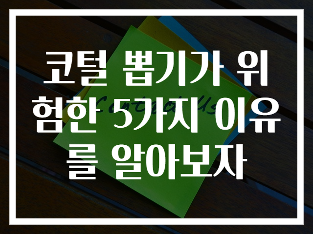 코털 뽑기가 위험한 5가지 이유를 알아보자