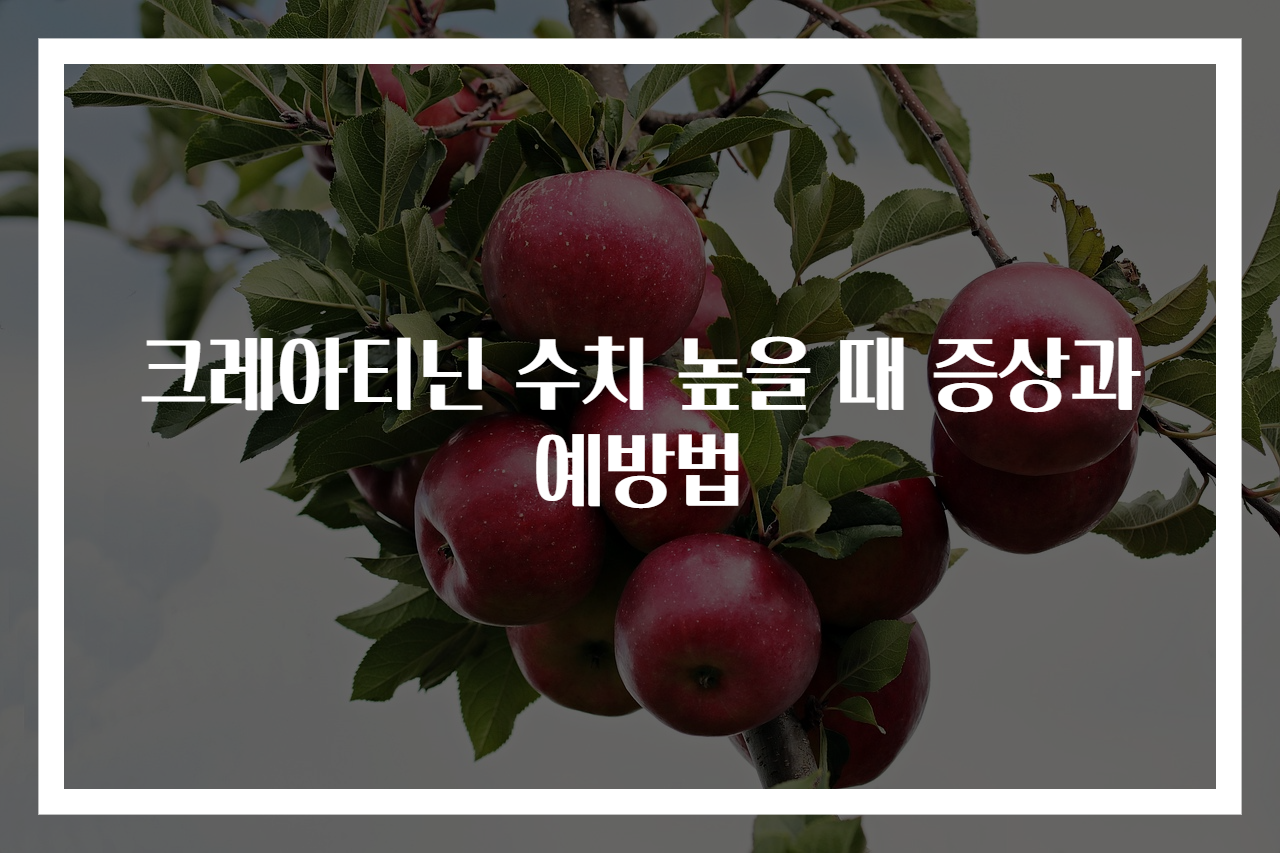 크레아티닌 수치 높을 때 증상과 예방법