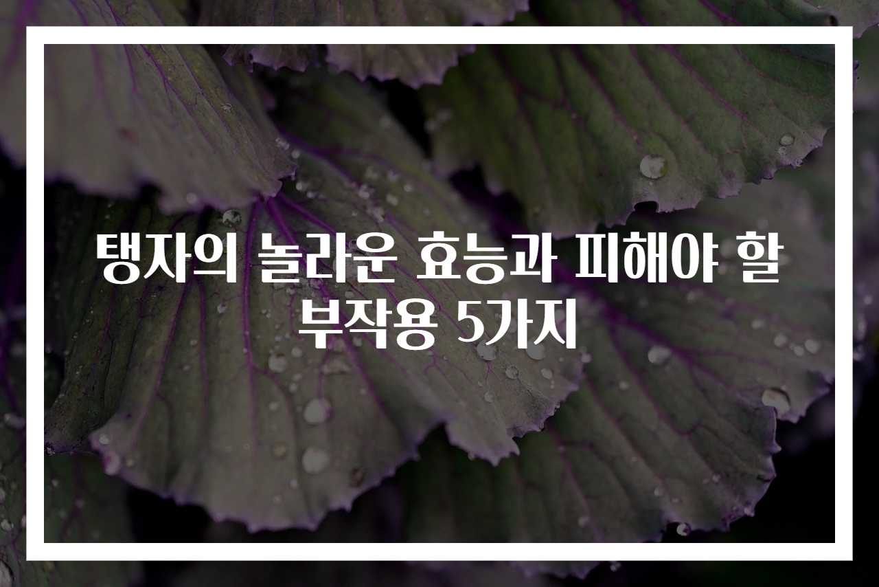탱자의 놀라운 효능과 피해야 할 부작용 5가지
