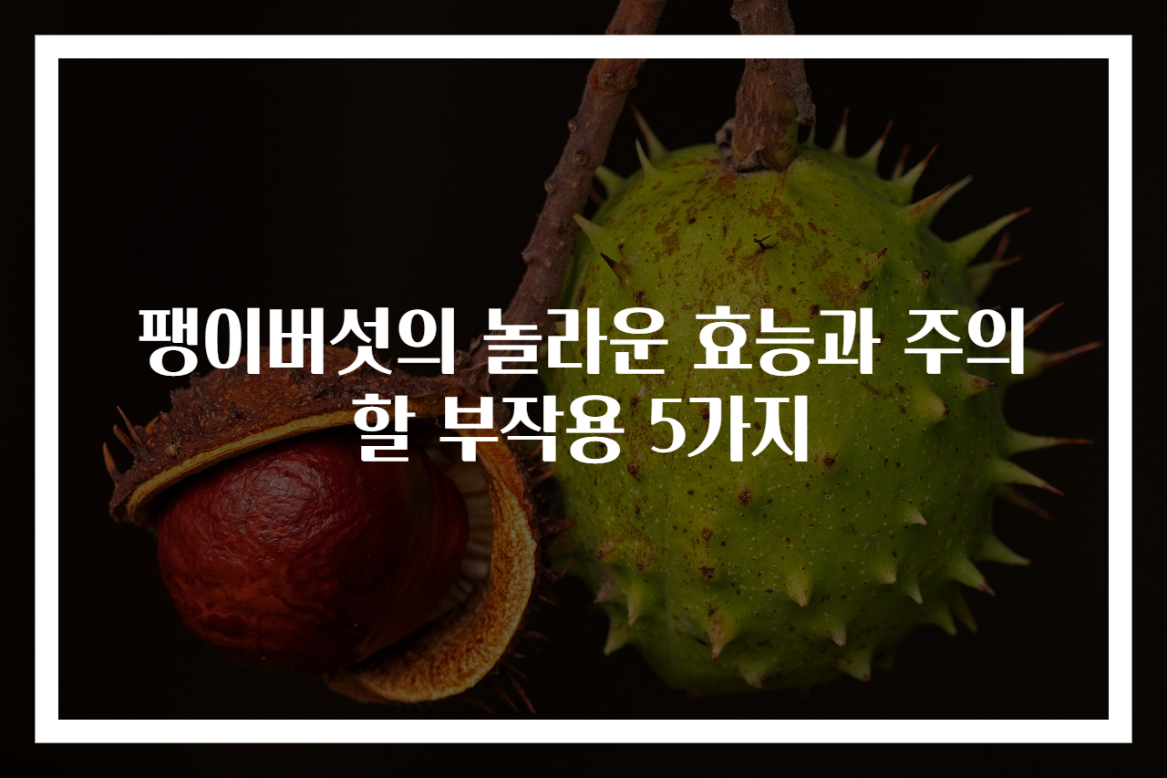 팽이버섯의 놀라운 효능과 주의할 부작용 5가지