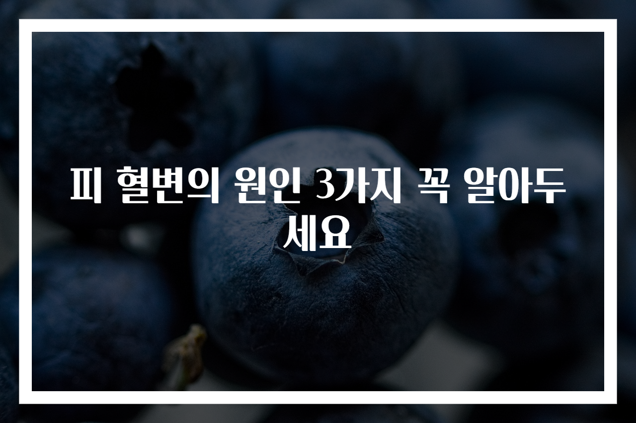 피 혈변의 원인 3가지 꼭 알아두세요