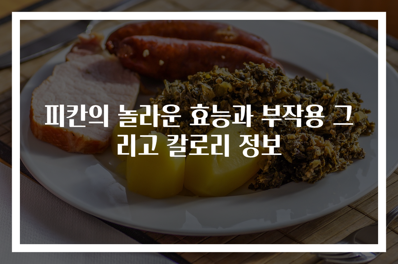 피칸의 놀라운 효능과 부작용 그리고 칼로리 정보