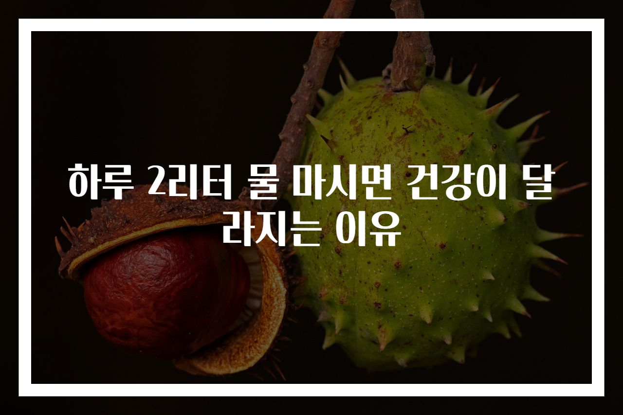 하루 2리터 물 마시면 건강이 달라지는 이유