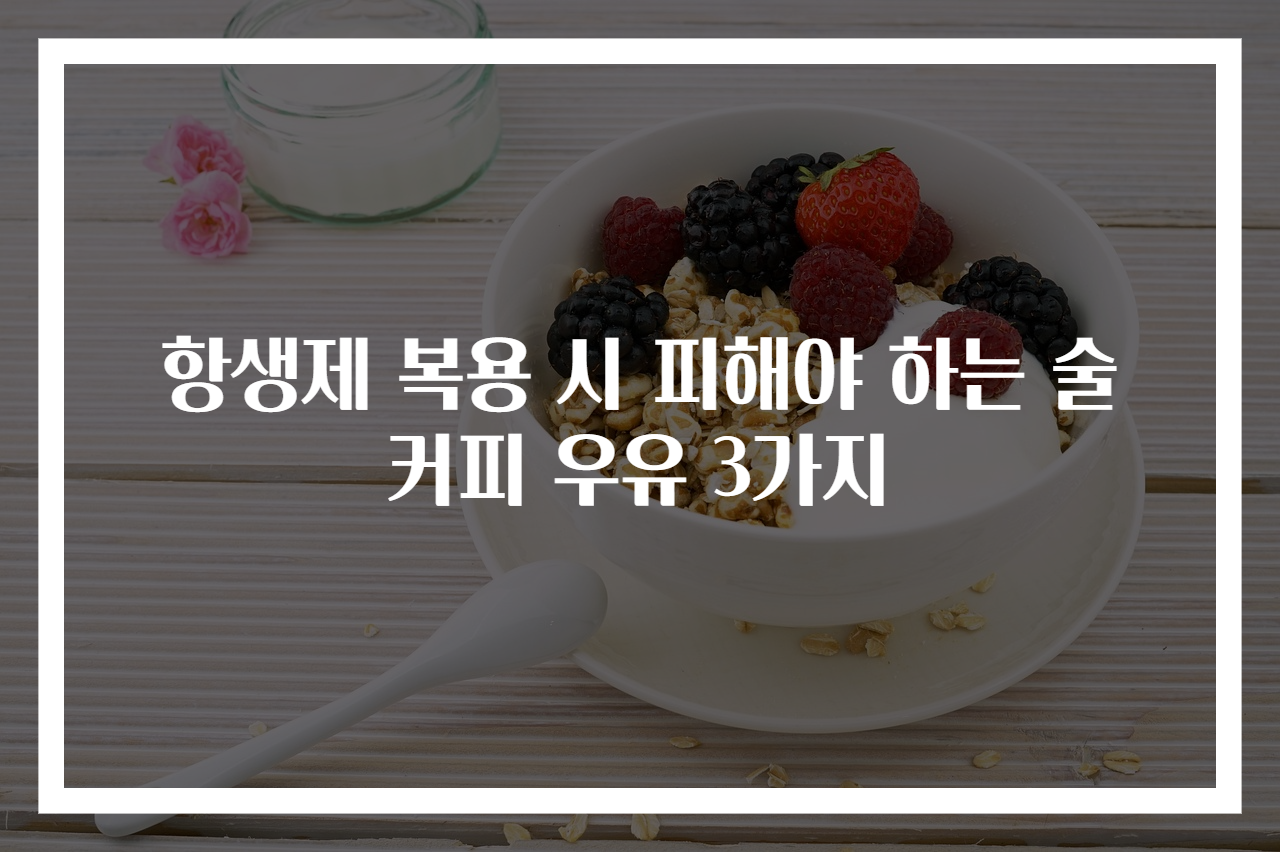 항생제 복용 시 피해야 하는 술 커피 우유 3가지
