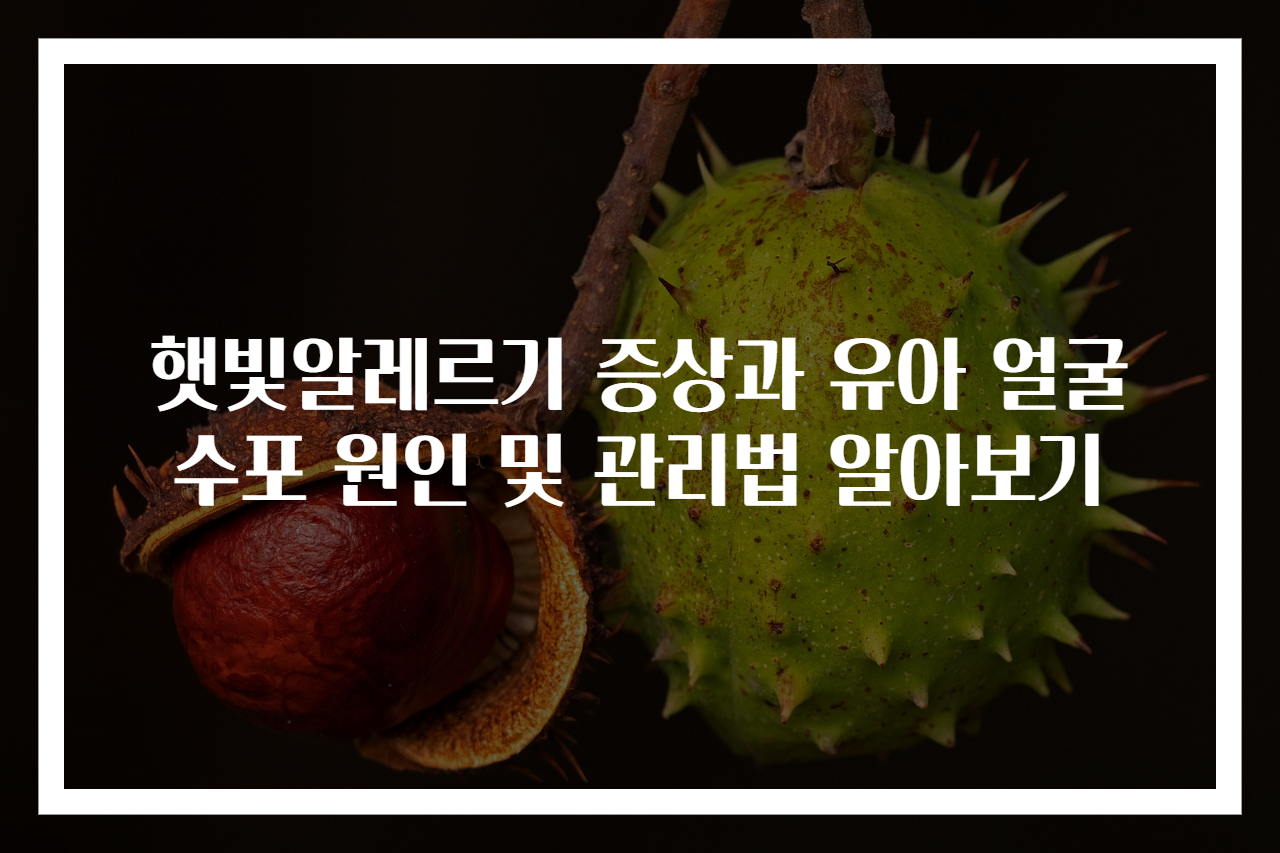 햇빛알레르기 증상과 유아 얼굴 수포 원인 및 관리법 알아보기