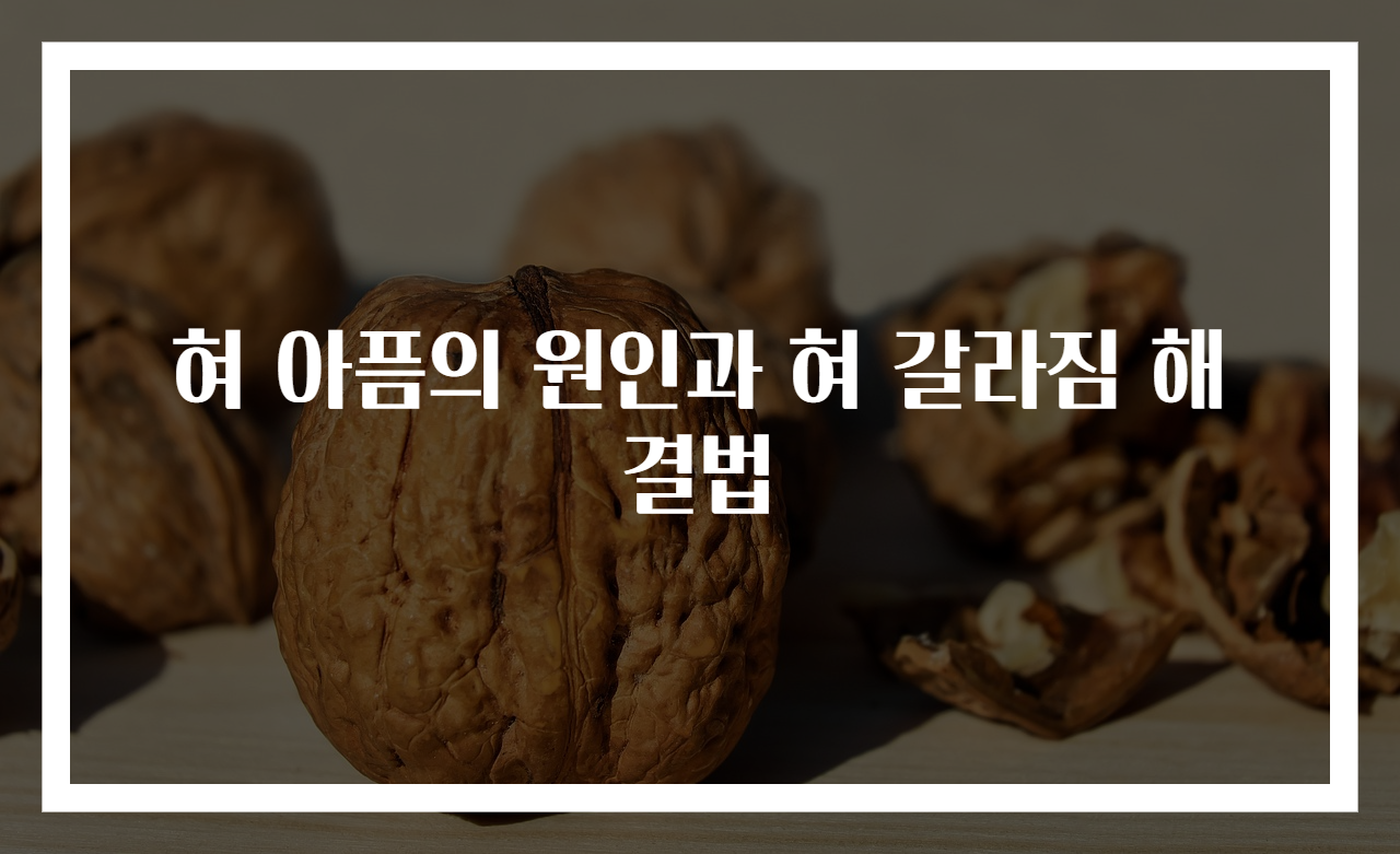 혀 아픔의 원인과 혀 갈라짐 해결법