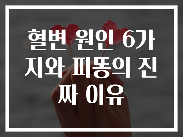 혈변 원인 6가지와 피똥의 진짜 이유