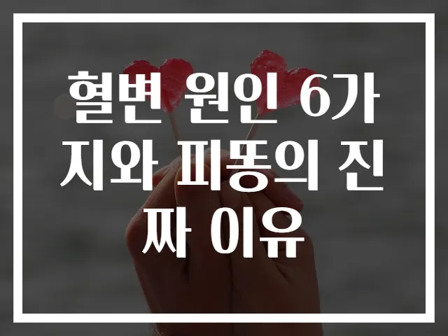 혈변 원인 6가지와 피똥의 진짜 이유