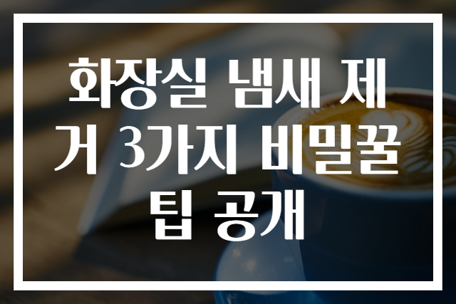 화장실 냄새 제거 3가지 비밀꿀팁 공개