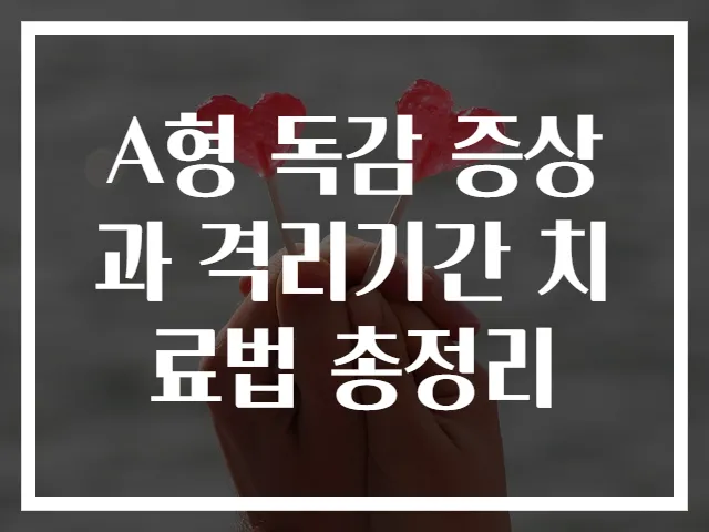 A형 독감 증상과 격리기간 치료법 총정리