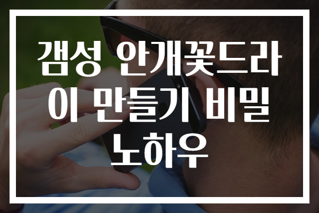 갬성 안개꽃드라이 만들기 비밀노하우