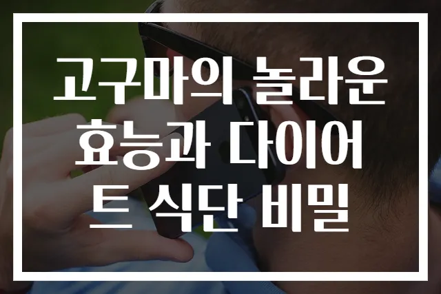 고구마의 놀라운 효능과 다이어트 식단 비밀