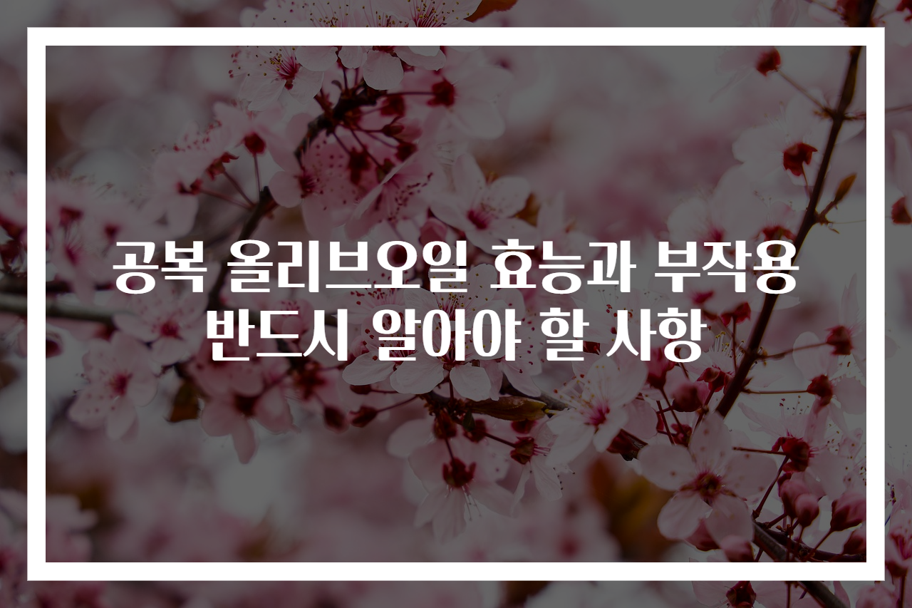 공복 올리브오일 효능과 부작용 반드시 알아야 할 사항