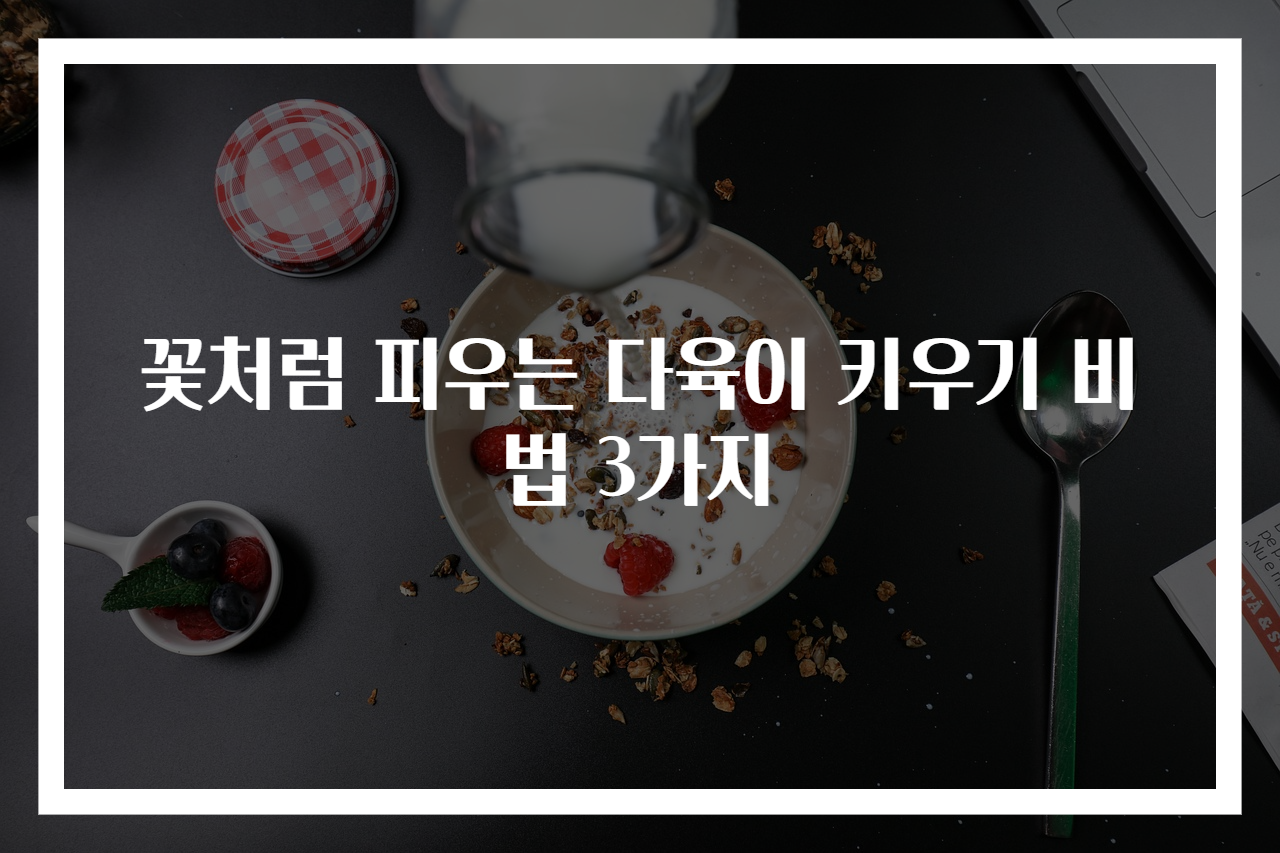 꽃처럼 피우는 다육이 키우기 비법 3가지
