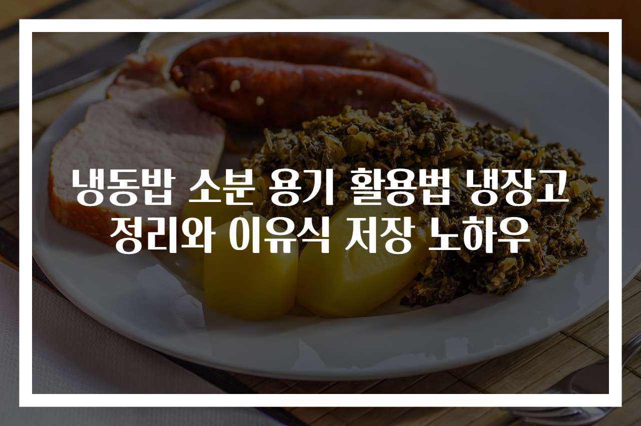 냉동밥 소분 용기 활용법 냉장고 정리와 이유식 저장 노하우
