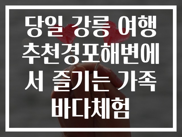 당일 강릉 여행 추천경포해변에서 즐기는 가족 바다체험