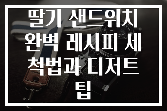 딸기 샌드위치 완벽 레시피 세척법과 디저트 팁