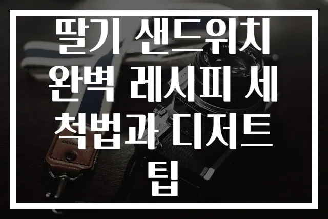 딸기 샌드위치 완벽 레시피 세척법과 디저트 팁